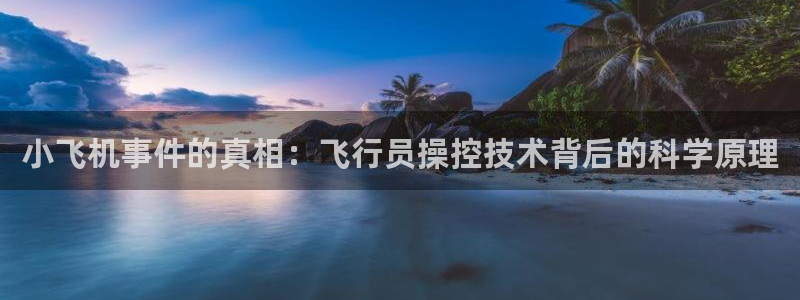 小飞机事件的真相：飞行员操控技术背后的科学原理