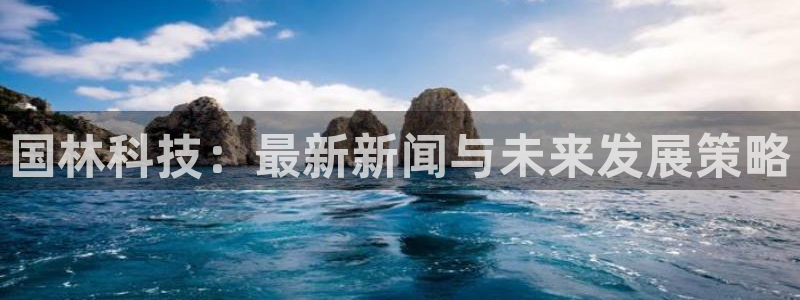 国林科技：最新新闻与未来发展策略