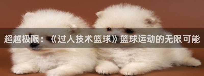 超越极限：《过人技术篮球》篮球运动的无限可能