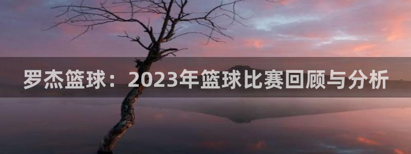 罗杰篮球：2023年篮球比赛回顾与分析