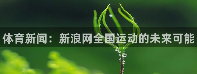 体育新闻：新浪网全国运动的未来可能