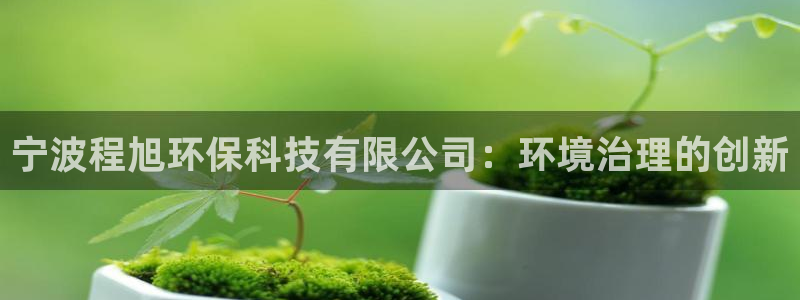 宁波程旭环保科技有限公司：环境治理的创新