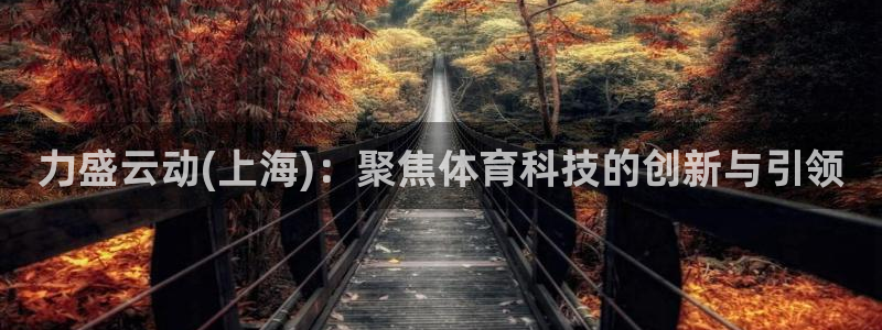 力盛云动(上海)：聚焦体育科技的创新与引领