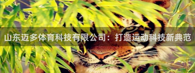 山东迈多体育科技有限公司：打造运动科技新典范