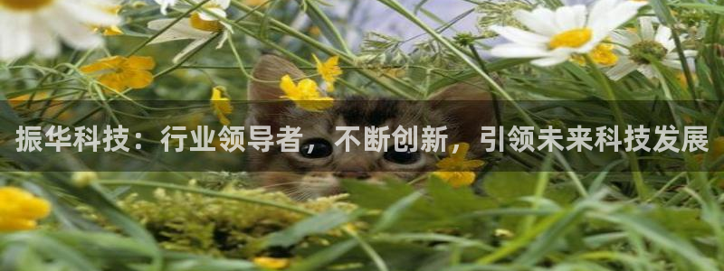 振华科技：行业领导者，不断创新，引领未来科技发展