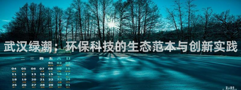 武汉绿潮：环保科技的生态范本与创新实践