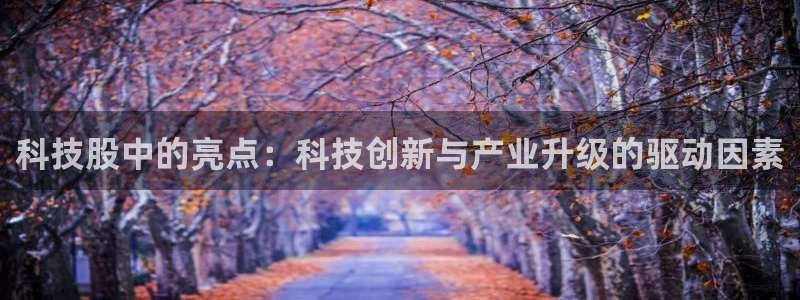 科技股中的亮点：科技创新与产业升级的驱动因素