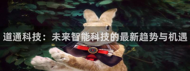 道通科技：未来智能科技的最新趋势与机遇