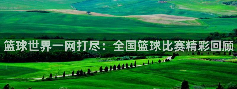 篮球世界一网打尽：全国篮球比赛精彩回顾