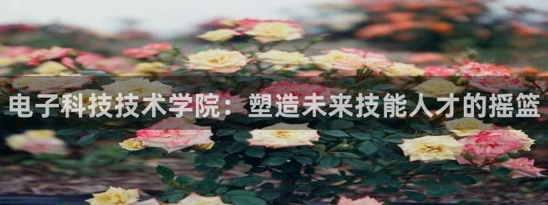 电子科技技术学院：塑造未来技能人才的摇篮